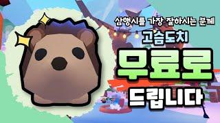 [입양하세요] 크리스마스 산타가 무료로 고슴도치를 준다고요?! 공포 삼행시 장인에게 선물 드립니다!