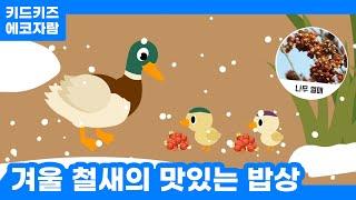 [에코자람] 겨울 철새의 맛있는 밥상!ㅣ키드키즈ㅣ환경동화ㅣ환경교육ㅣ어린이동화ㅣ유아동화ㅣ12월동화ㅣ겨울동화