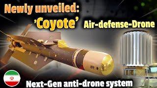 Iran's new 'Coyote' Air-Defense-Drone: Why Ghaem-118 is a next-generation weapon