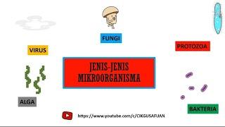 JENIS-JENIS MIKROORGANISMA #cikgusafuan