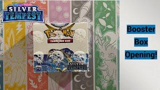 Pokemon Silver Tempest Booster Box Opening