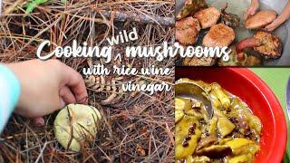 COOKING WILD MUSHROOMS with Rice Wine Vinegar | Indigenous Recipe | Bila, Bauko, Mountain Province