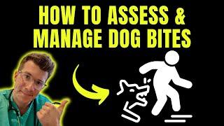 Doctor explains how to assess and treat dog bites