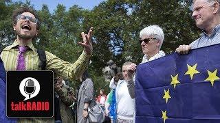 Brexit: Could Remainers set up a party to keep Britain in Europe?