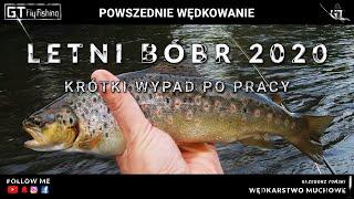 Pstrągi na mokrą muchę z Bobru - krótki wypad po pracy na 2h lato 2020-07