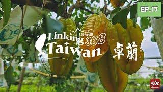 【苗栗卓蘭】EP17 完整版｜Linking368Taiwan