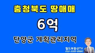 충청북도 땅매매 6억 단양군 계획관린지역 월드부동산TV