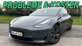 Gebrauchtes Tesla Model 3 Long Range mit 170.000km gekauft! Akku, Probleme, Kosten