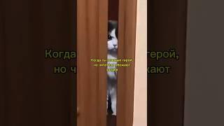 Наверняка каждому книголюбу знакома эта ситуация!)) #книги #мем #эксмо #чтение #литература #юмор