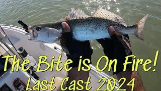 The Trout Bite is on Fire! ~ Last Cast for 2024