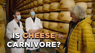 Is Cheese Carnivore?