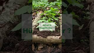 Garden Word of the Day - Hügelkultur #gardening #gardengurus #gardeningideas #garderningtips #plants