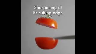 About Our V-Edge Sharpener | ZWILLING