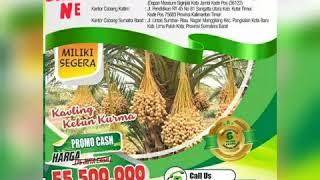 Investasi kurma makin berkembang / Fahri 085264048654