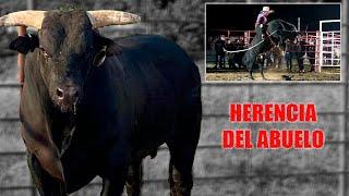 ¡¡UNO DE LOS MEJORES TORO EN USA!! La Herencia del Abuelo