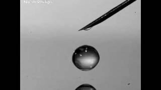 Watch the bouncing droplet