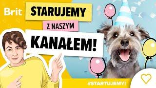 STARTUJEMY z naszym kanałem! - Brit Polska