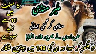 Malir Mandi Karachi Cattle Rates Update ️ || 27 may 2025 | Cow Mandi 2025 