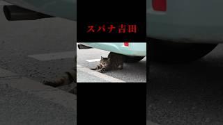 ヨシダモータース