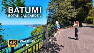 Relaxing silent walking tour in Batumi Botanical Garden. Must visit place in Batumi in summer 2024!
