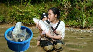 The unexpected joy of a single mother and her baby - catching many giant fish in an abandoned pond