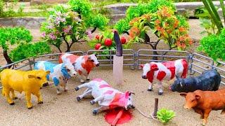 Proses Potong Sapi Qurban !! Wadidaw Proses Cow Cartoon