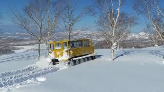 Rising Sun Cat Skiing Niseko