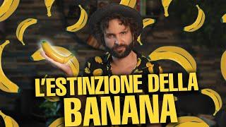 Questa potrebbe essere la tua ultima banana