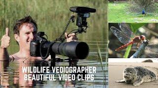 A Wild Life Videographer's beautiful Video Clips