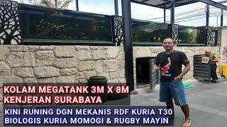 KOLAM MEGATANK 3M X 8M | KENJERAN SURABAYA