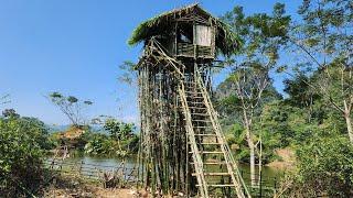 TIMELAPSE x300: The journey of building extremely unique tree houses of a 60-year-old man