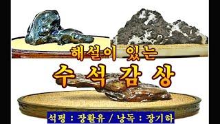 해설이 있는 수석감상