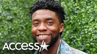 Chadwick Boseman's Marvel Family, Fellow Stars Mourn His Tragic Death