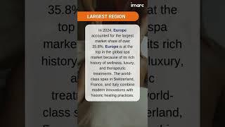 Spa Market Size, Share, Growth & Industry Report 2025-2033