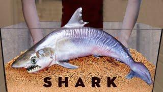 10 000 Maggots VS SHARK | How Quickly The MAGGOTS Eat a SHARK?