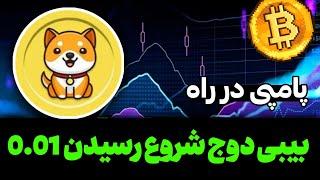 بیبی دوج روندش ادامه داره از اینجا رسیدن به 0.01 تحلیل روند بیبی دوج