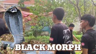 BLACK COBRA SA STO TOMAS BATANGAS #cobraprince