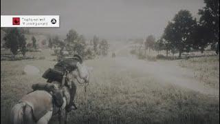 Red dead redemption 2 How to get Lending a hand Trophy/Achevment