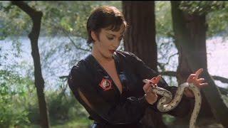 Superman 2 - Ursa kills Snake