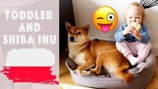 VLOG TODDLER PLAY WITH DOG, MCDONALDS, BABY COOKING [LIVING IN POLAND] 2023