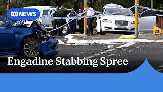 Engadine crash, stabbing: Woman in serious condition, police make domestic violence links | ABC News