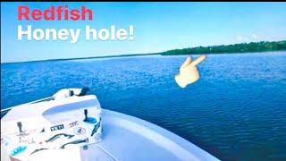 Charlotte Harbor Redfish using live Shrimp for bait! (Saltwater Fishing Florida) #video #fishing