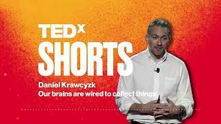 Our brains are wired to collect things | Daniel Krawczyk | TEDxSMU
