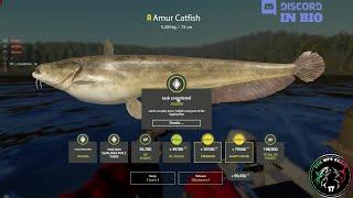 Lower Tunguska River spot, Trophy Amur Catfish - #47 - Russian Fishing 4 / RF4