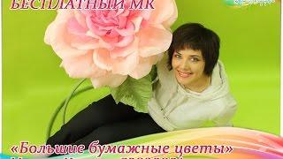 Бесплатный мастер-класс «Большие бумажные цветы». Аксессуары для фотосессий.
