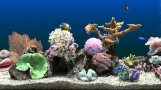 Marine Aquarium Virtual Fishtank