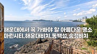 부산 해운대 가볼만한 곳!! 지수투어가 추천하는 Top 4