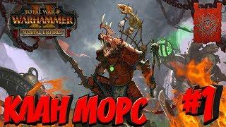 СТРИМ! Total War: Warhammer 2 (Легенда) - Клан Морс #1