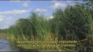 Documentário Delta do Rio Danúbio Legendado PT Br