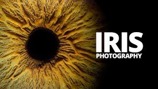 How to photograph your own Iris.